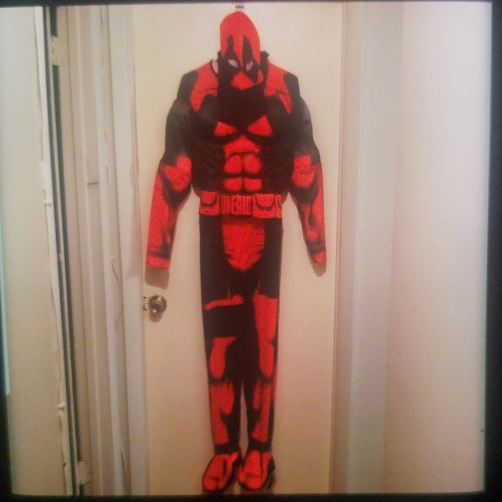 Adult Costume